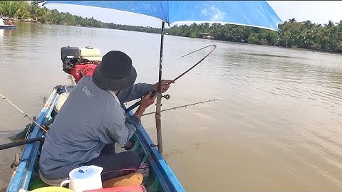 Câu Cá Ngát Sông Lớn _ Trúng Ổ Cá Ở Bờ Kè Bê Tông Bị Sạt Lở Cả 100 mét |  Săn Bắt Ba Vát | #71