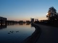 Прогулка. Вечер, пруд в Гольяново, Москва