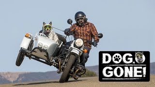 Motorcyclist Introduces Dog, Gone! Ural Gear Up Sidecar Video Series