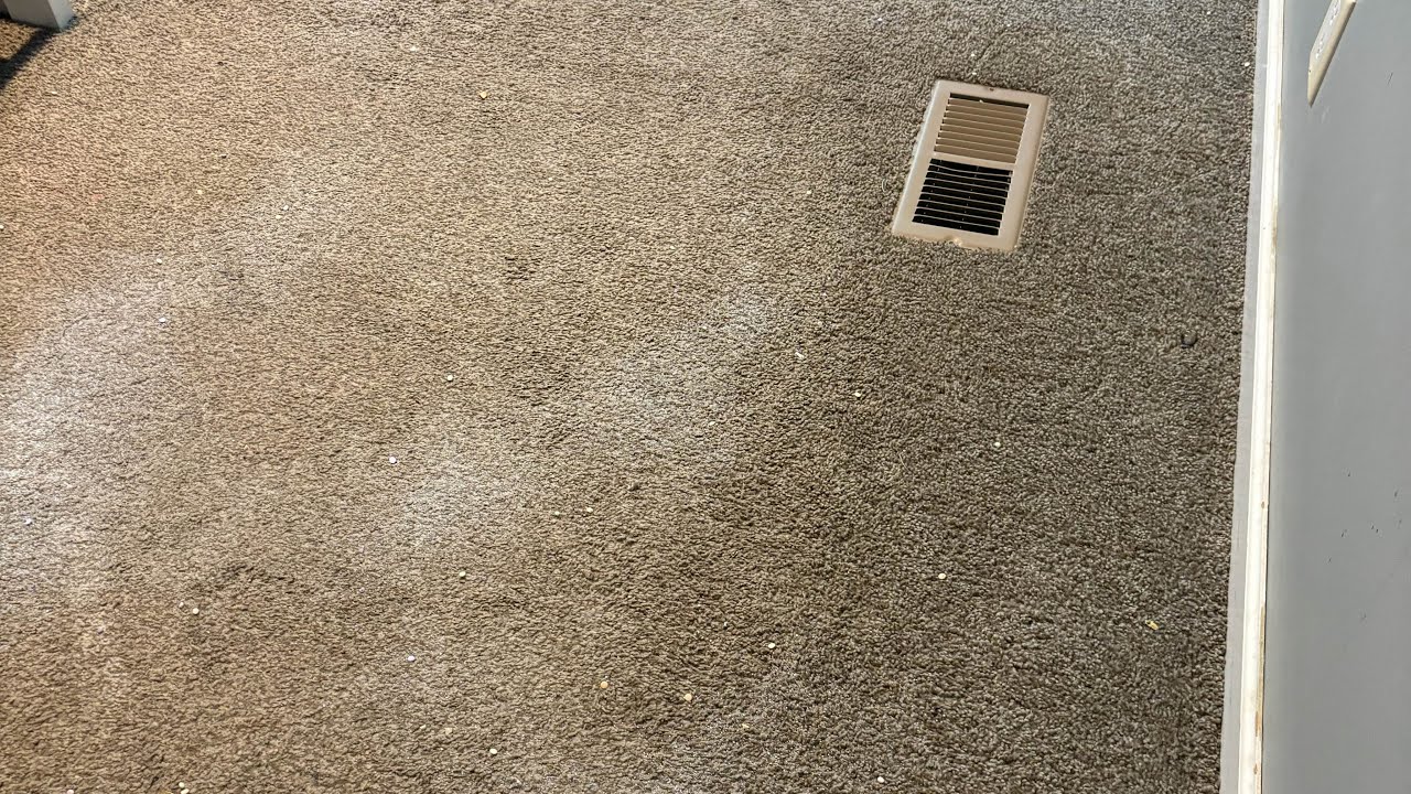 Natural of Daughters Room 🦋 Only added Carpet Fresh #cleantok #cleaningtool #vacuum #vacuumcleaner 