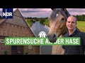 Prachtvolle Fachwerkhäuser und edle Pferde an der Hase | die nordstory | NDR