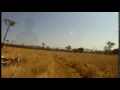 Mountain Biker gets taken out by BUCK - CRAZY Footage - Only in Africa