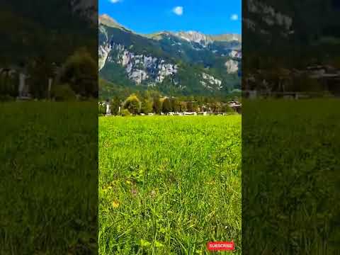 wonderful mountains Nature 4k video in Switzerland #shorts #short #youtube #youtubeshorts #trending