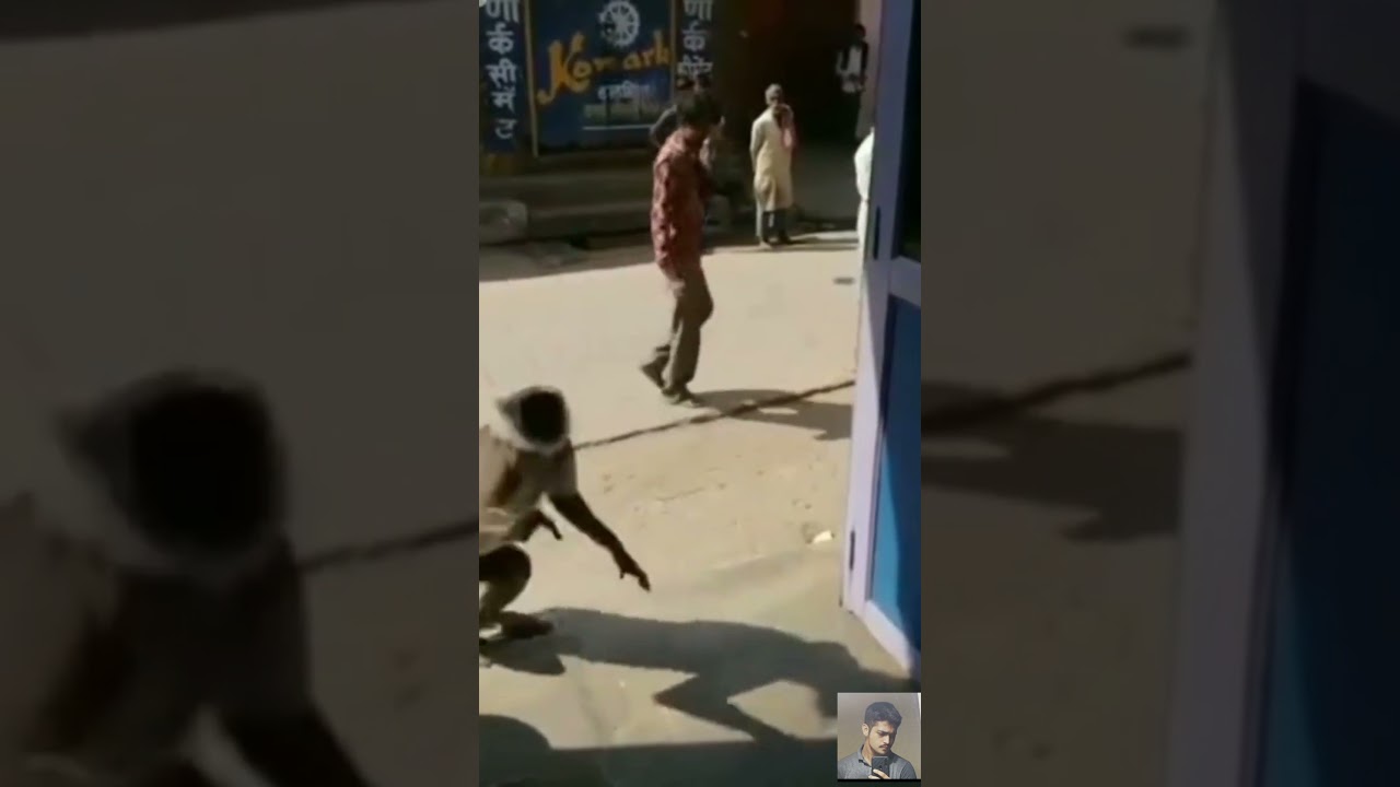 funny dubbing of surya monkey don 🤣56||