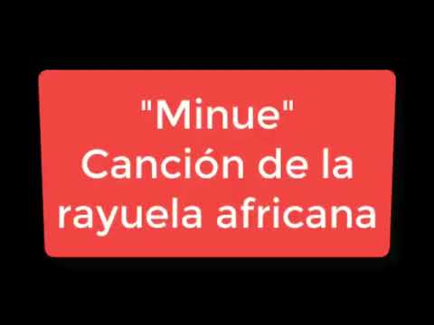 Canción 'Minue' le