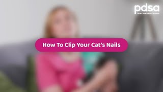 How To Trim Your Cat's Claws | Pet Health Advice