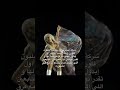 فديتت القويهه#Blackpink#Baby_Monster#TWICE#Espa#Leseraphim#Newgens#Elite#Myof#InChild#Eve