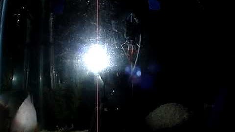 ORACLE Fish Tank Xenon HID Kit Test by Advanced Automotive Concepts