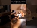 【快眠ASMR】名古屋の耳かき職人で寝落ち💤お耳天国 名古屋栄店 I Fell Asleep During This Ear Cleaning #shorts