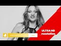 envato graphics free download,get envato elements for free,glassdoor envato