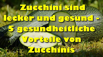 Für was sind Zucchinis gut?