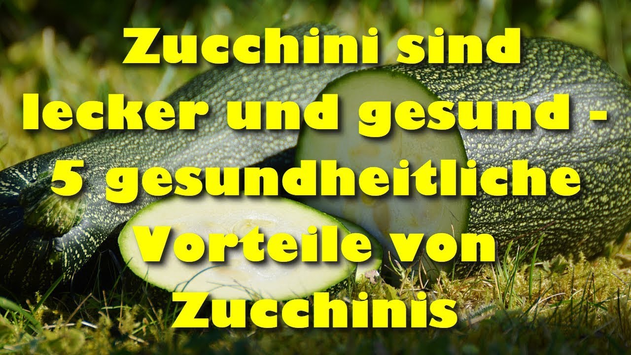 Zucchini sind lecker und gesund –  5 gesundheitliche Vorteile von Zucchinis