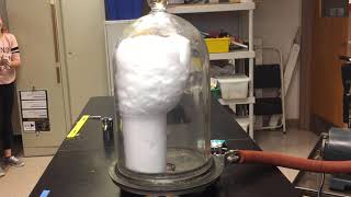 Vacuum Chamber vs Shaving Cream 4x speed