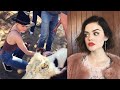 10 Lucy Hale Moments That Give Us Life!