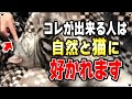 不思議と猫がなつく・好かれる人の特徴 "7選"