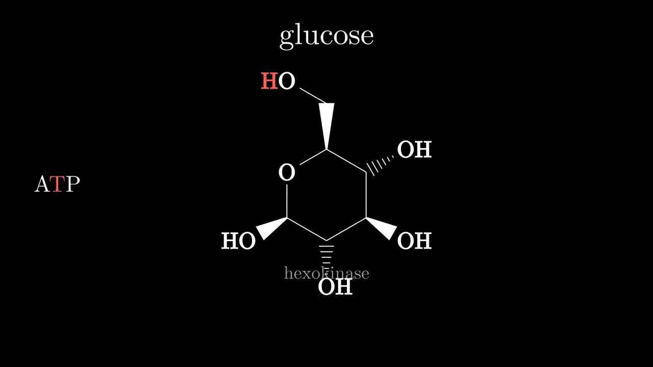 Time to memorize Glycolysis