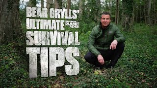 Survival Skills With Bear Grylls’ | Kingdom Of The Planet Of The Apes | In Cinemas Now