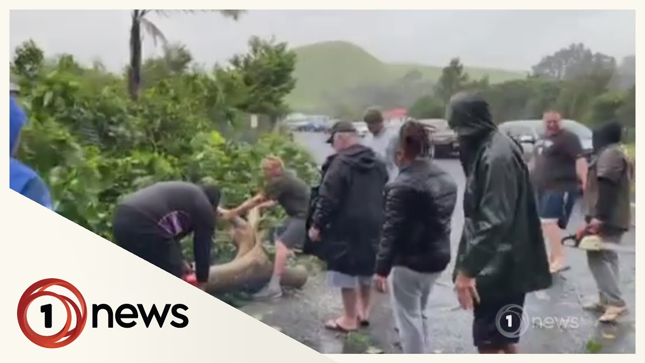 Far North first to feel Cyclone Gabrielle's fury | 1News