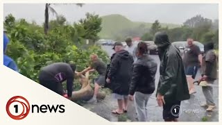 Far North First To Feel Cyclone Gabrielles Fury 1News