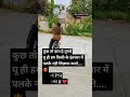 2400 Mtr running ke baad relax 👮#love #song #music #police #youtubeshorts #viral #reels #motivation