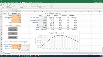 Risk Management: Short Option - Delta Hedge - Simple