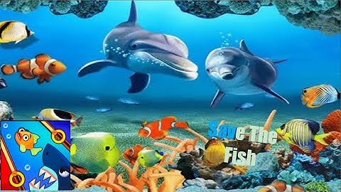 SAVE THE FISH! 🐠 ANDROID AND IOS /SAVE FISH /FISHDOM | GAMEPLAY WALKTHROUGH ALL LEVELS SOLUTION HD