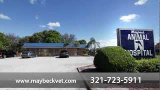 Maybeck Animal Hospital - Short West Melbourne, Fl