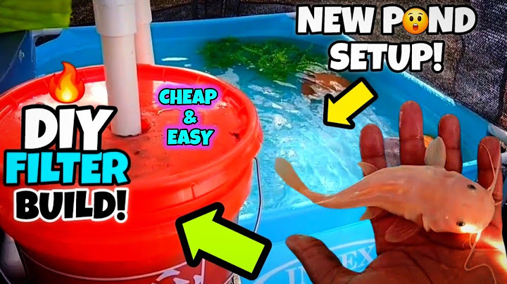 How to Build a CHEAP & POWERFUL DIY Pond Filter with a 5-Gallon Bucket!