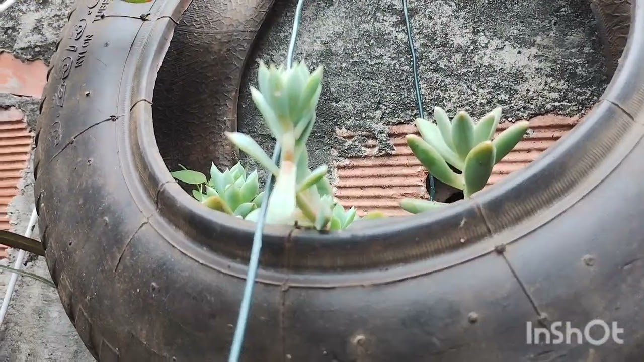 Só Deus explica A natureza é linda 😍💕