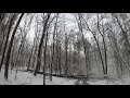 Logging With horses, Dropping a tree in the snow 13