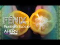 Fénix- Pimiento Blocky