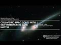 Collapsing Halo Cores with Self-Interacting Dark Matter - Kimberly K. Boddy, University Austin-Texas