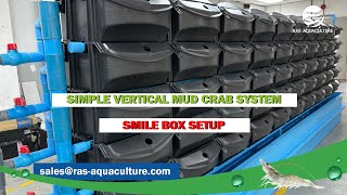 SIMPLE VERTICAL MUD CRAB SYSTEM | SMILE BOX SETUP