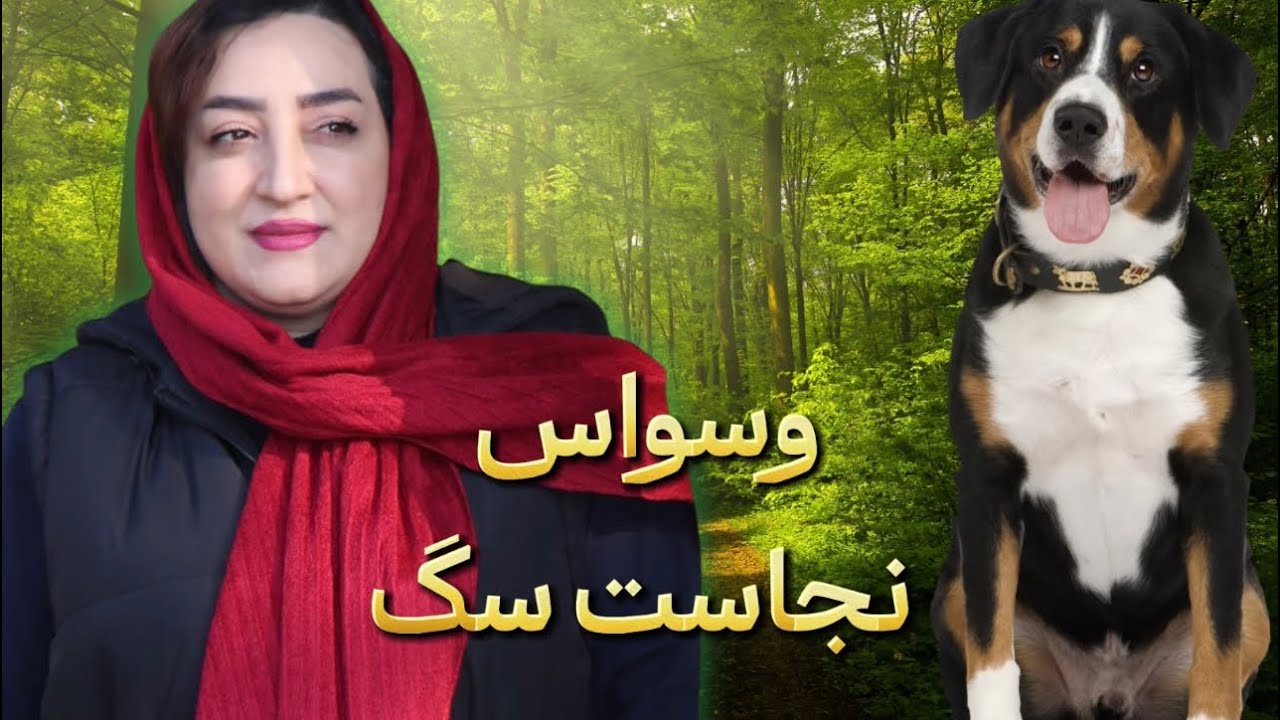 درمان وسواس به نجاست سگ