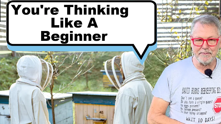 Beekeeping: Why So Many Get Stuck at the Beginner Level