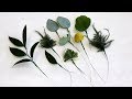 How To Wire Leaves For Corsage And Bridal Work