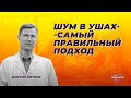 Шум в ушах  - самый правильный подход.