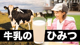 値段が高い牛乳と安い牛乳、何が違うか知ってる？【衝撃の事実】