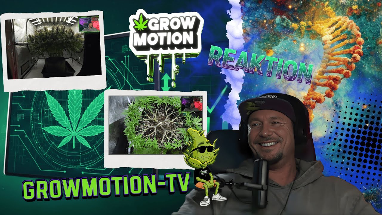 128 Triebe an EINER Pflanze?! 🤯 | Ben Green reagiert