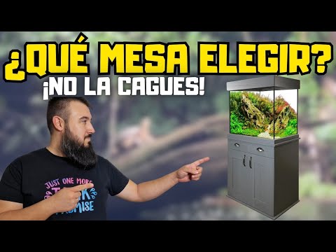 💧 AQUARIUM TABLE. I EXPLAIN HOW TO CHOOSE the BEST FURNITURE for your AQUARIUM 💧