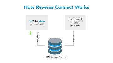 Reverse Connections