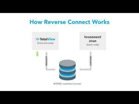 Reverse Connections