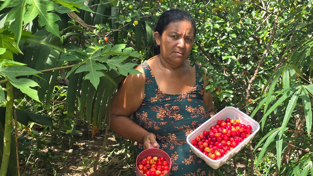 Colhendo acerola🫠