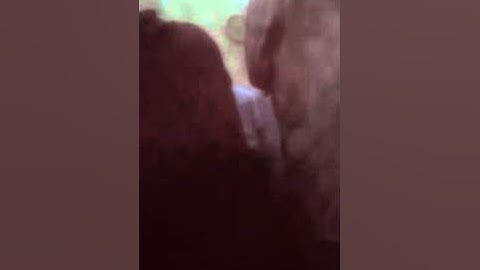 تلاوه فجريه الشيخ توفيق المصعلي