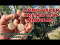 ARETES CON MONEDAS| COMO HACER ARETES CON MONEDAS| PASO A PASO PARA HACER UNOS ARETES CON MONEDAS.