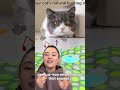Motion Activated Moving Feather USB Rechargeable Interactive Cat Toy Automatic Cat Toys for Indoor C