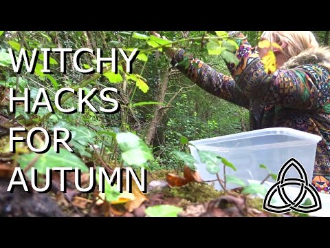 Witchy Hacks for Autumn - Blackthorn, Bindrunes and Autumn Wreaths