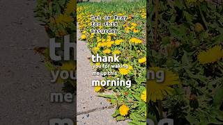 Saturday Prayer #shorts #youtubeshorts #motivation #love #trending #viral #viralshorts #fyp #reels