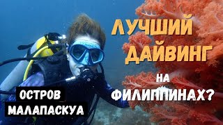 Дайвинг на Филиппинах. Красочный подводный мир острова Малапаскуа