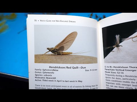 Tying a CDC